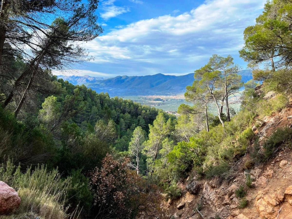 Casa Rural Puente Del Segura Elche de la Sierra Dış mekan fotoğraf