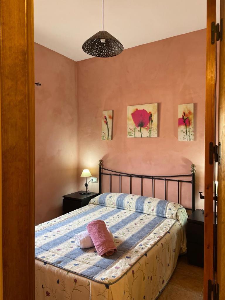 Casa Rural Puente Del Segura Elche de la Sierra Dış mekan fotoğraf