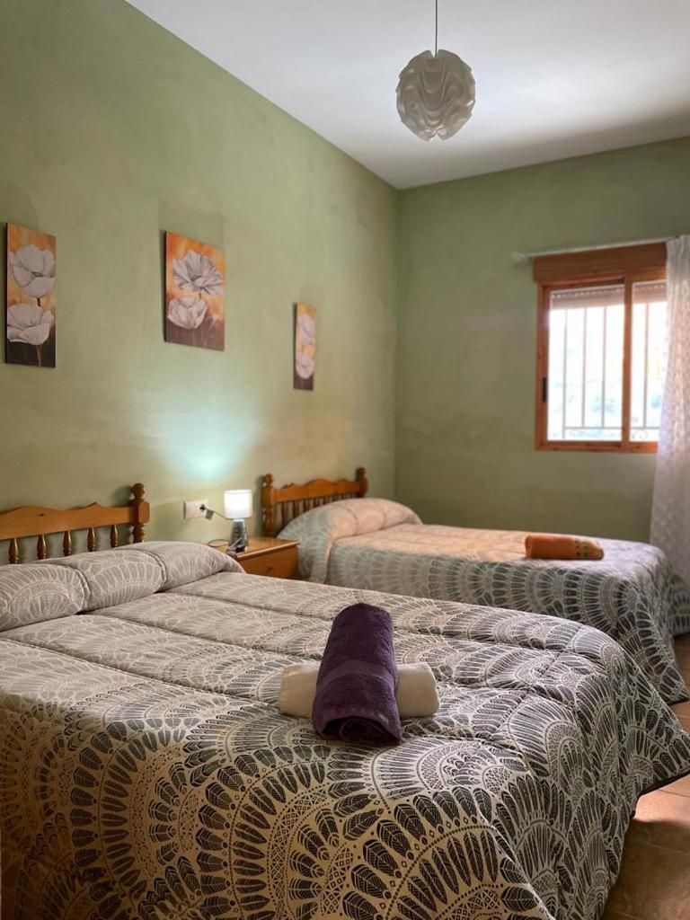 Casa Rural Puente Del Segura Elche de la Sierra Dış mekan fotoğraf
