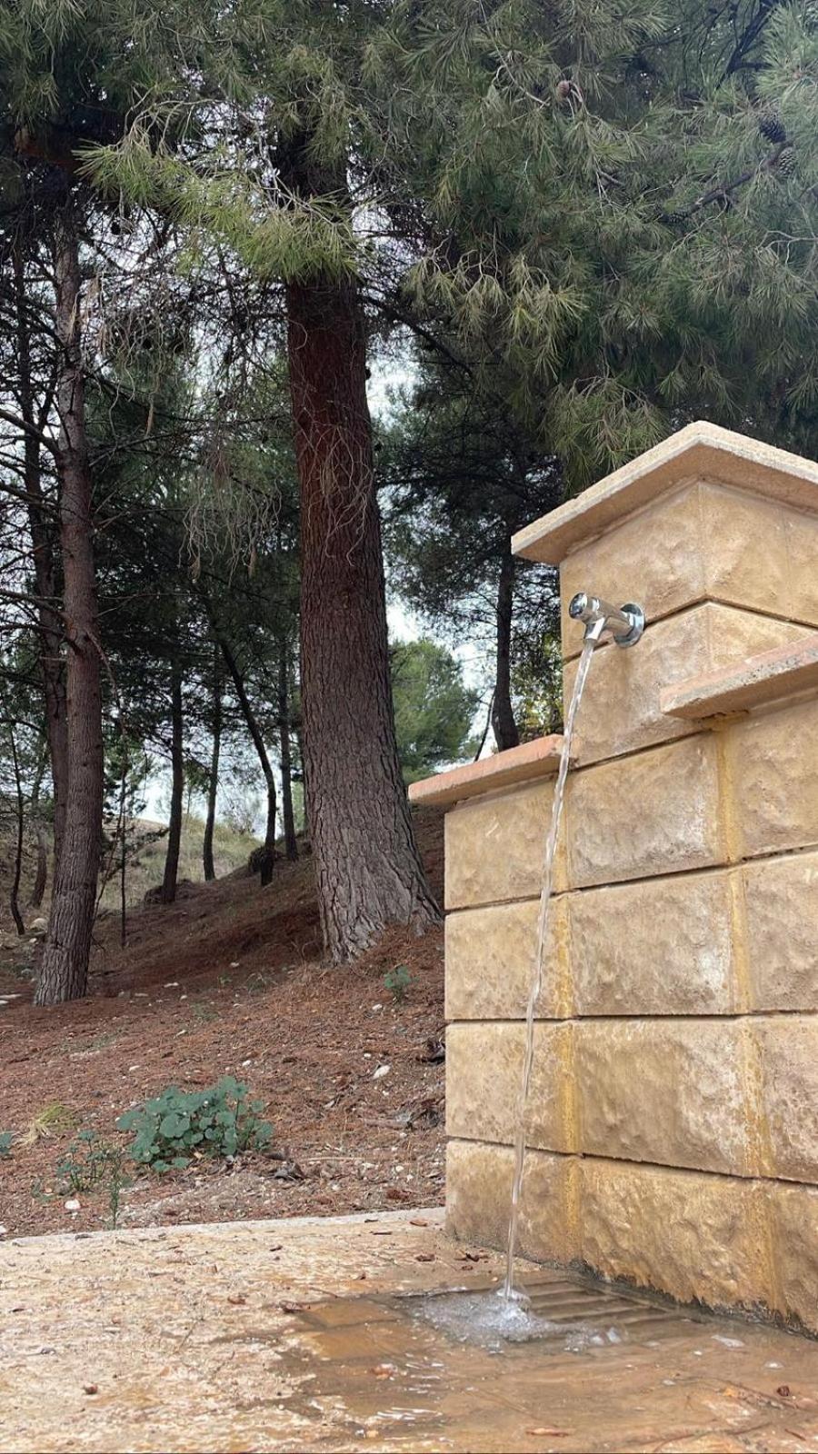 Casa Rural Puente Del Segura Elche de la Sierra Dış mekan fotoğraf