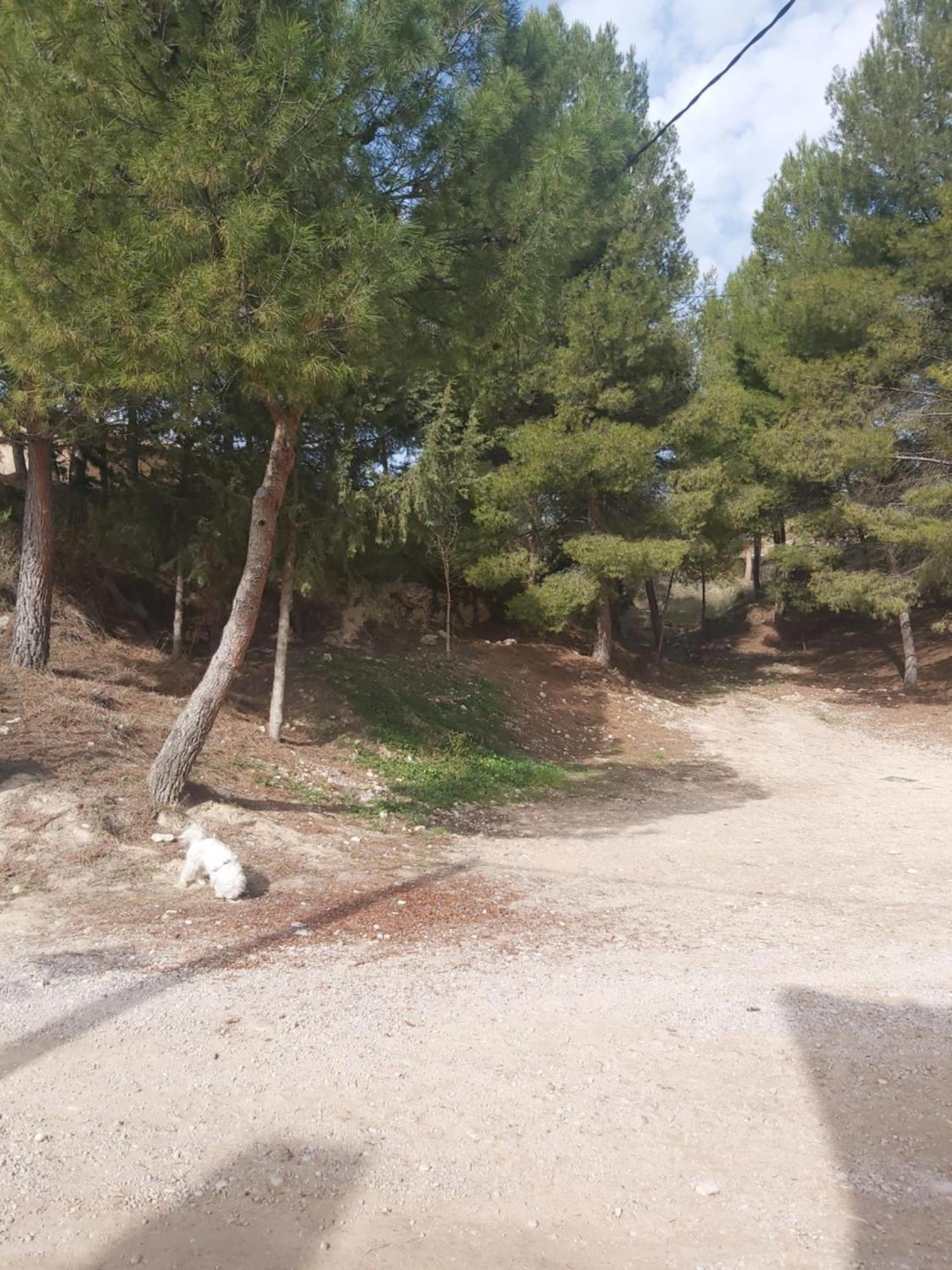 Casa Rural Puente Del Segura Elche de la Sierra Dış mekan fotoğraf