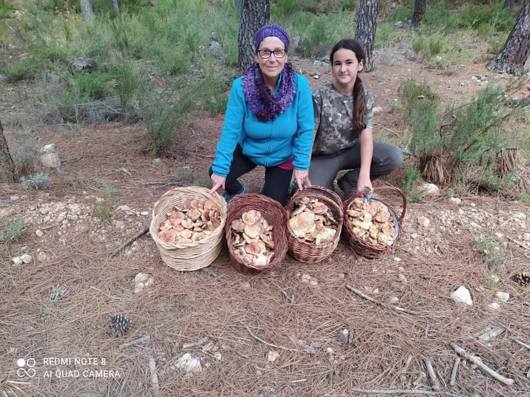 Casa Rural Puente Del Segura Elche de la Sierra Dış mekan fotoğraf